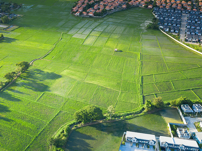 Empty Fields Beside Homes